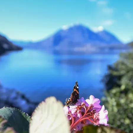 Reverie - Boutique Bellano