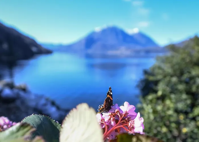 Reverie - Boutique Bellano